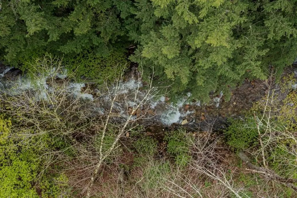 555 Brook Road Danby VT 05739