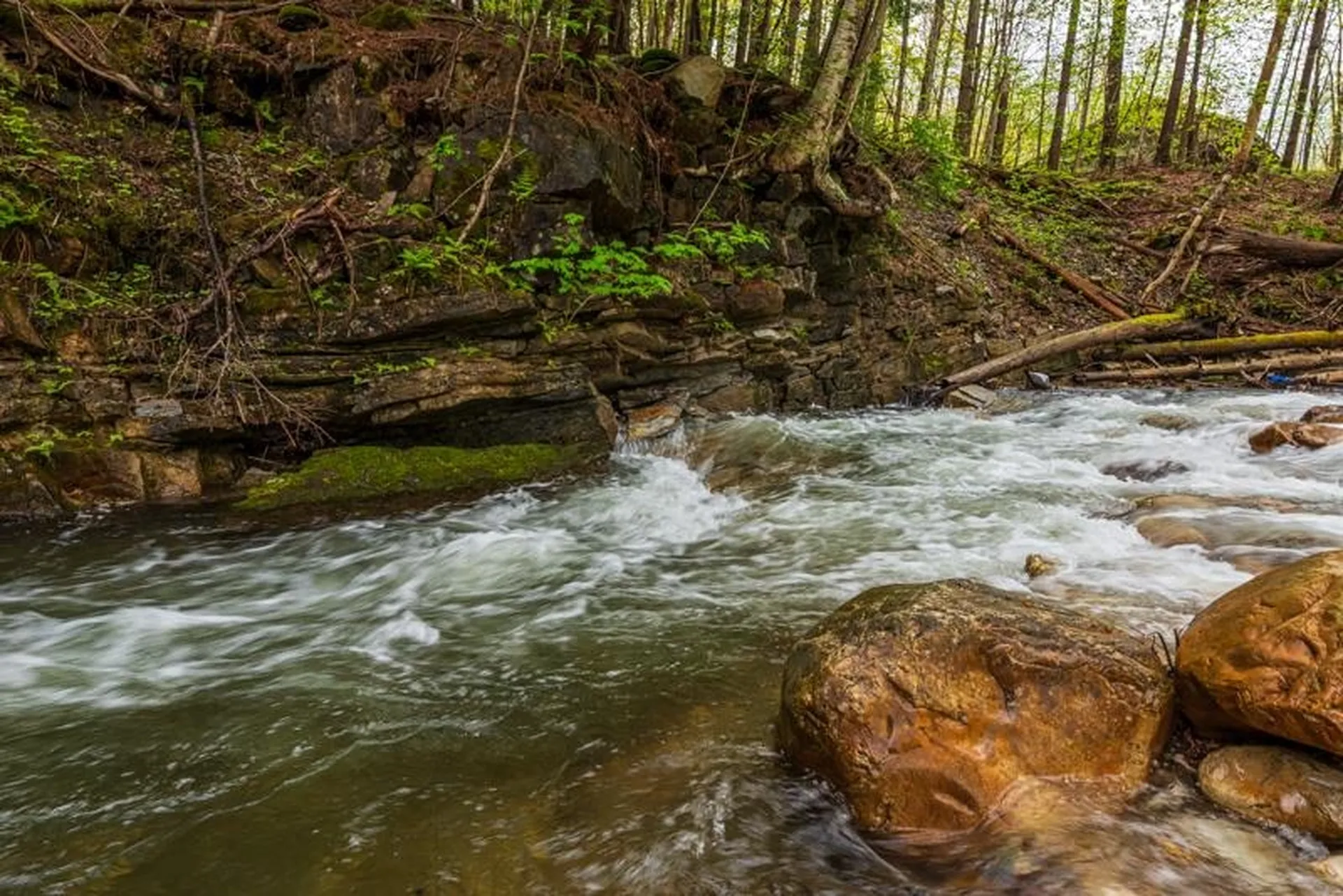 555 Brook Road Danby VT 05739