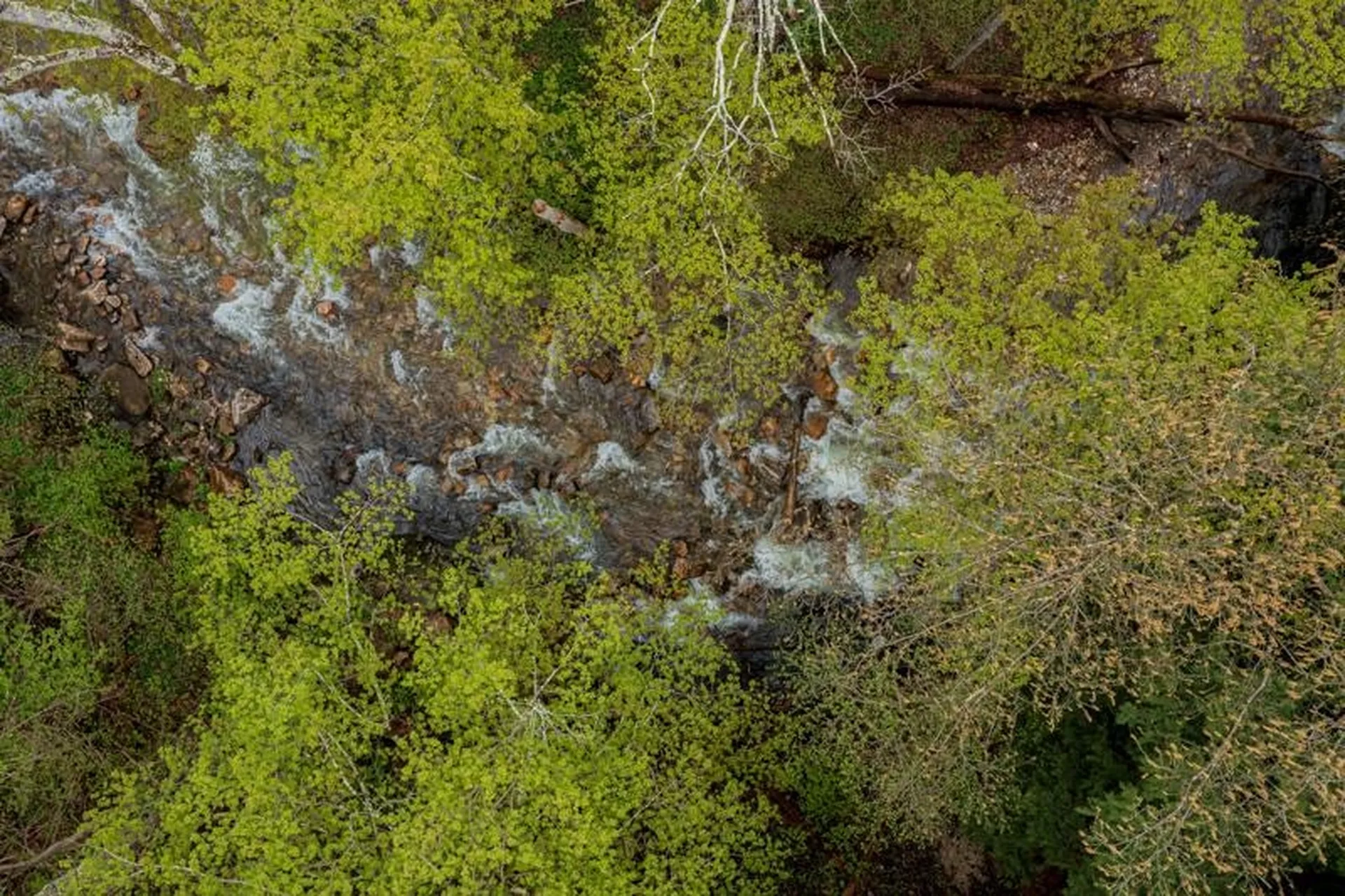 555 Brook Road Danby VT 05739