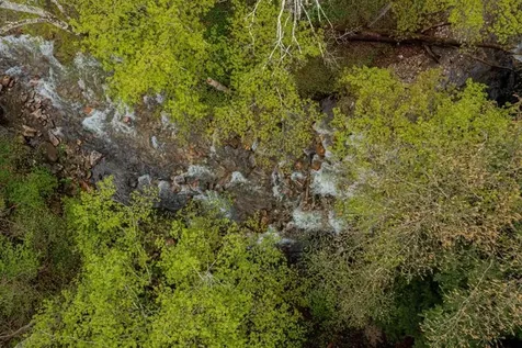 555 Brook Road Danby VT 05739