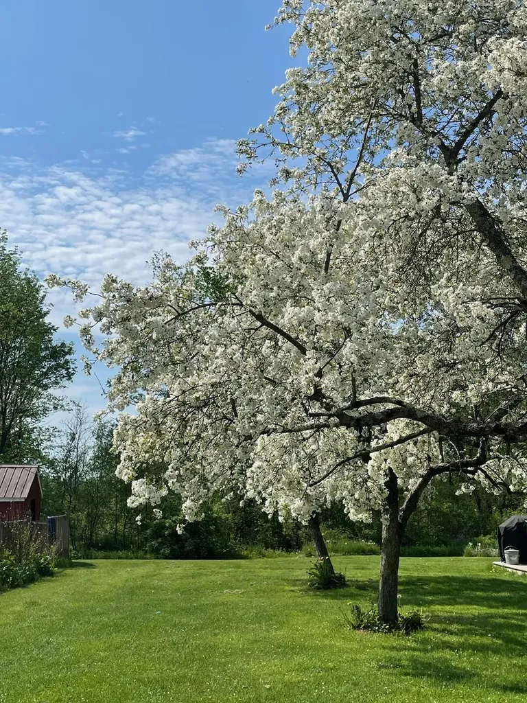 157 Tyler Bridge Road Starksboro VT 05487