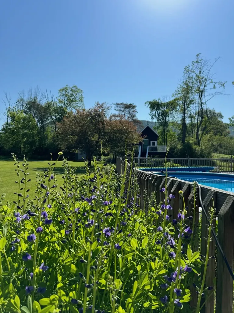 157 Tyler Bridge Road Starksboro VT 05487