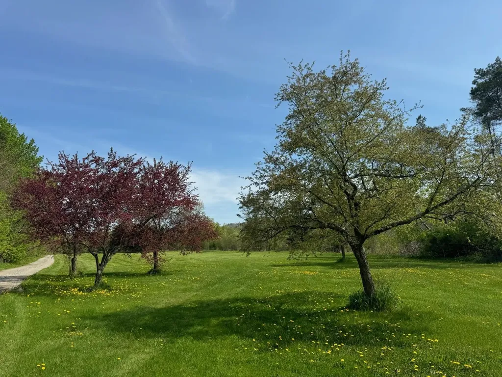 157 Tyler Bridge Road Starksboro VT 05487