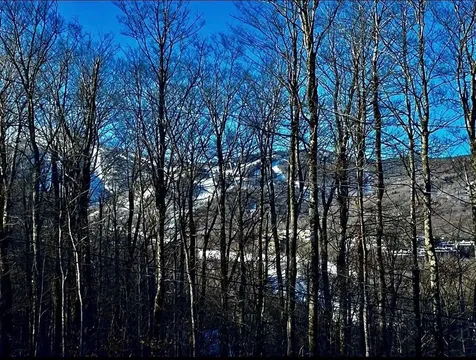 100 Upper Rebecca Lane Killington VT 05751