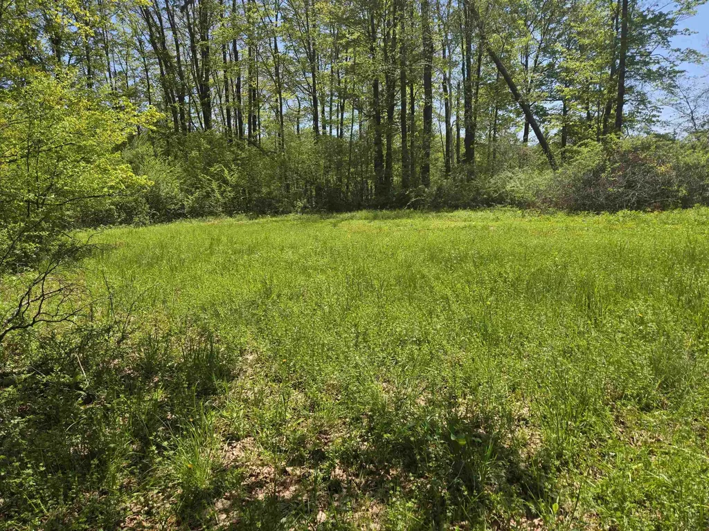 X Mount Aeolus Road Manchester VT 05255