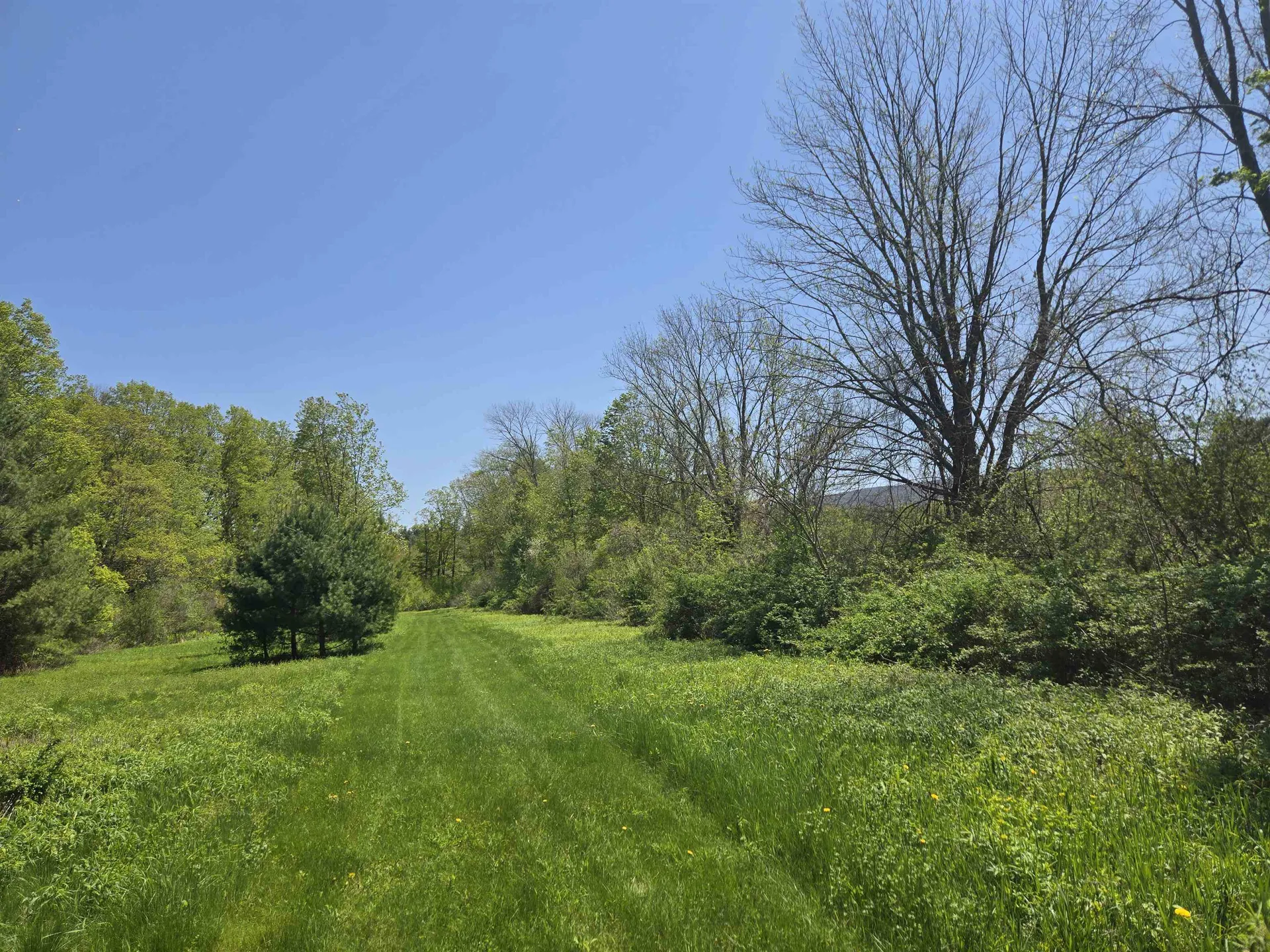 X Mount Aeolus Road Manchester VT 05255