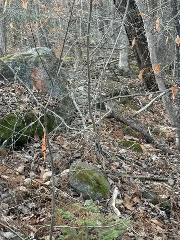 Lot 2, 259 Wood Road Middlesex VT 05682