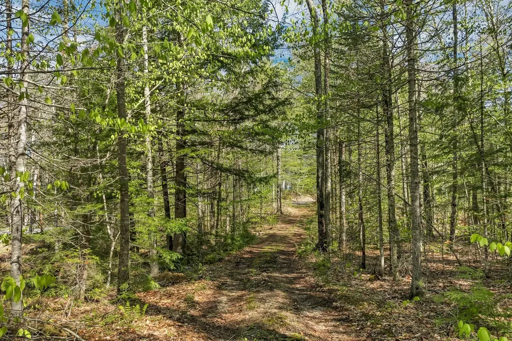 113 Federal Corner Road Tuftonboro NH 03816