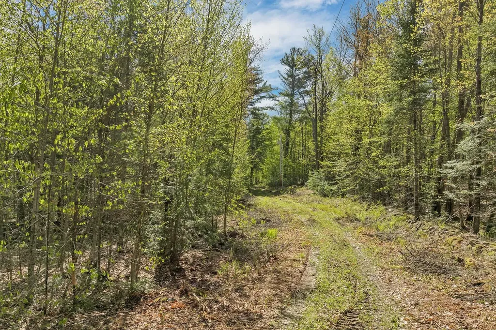 113 Federal Corner Road Tuftonboro NH 03816