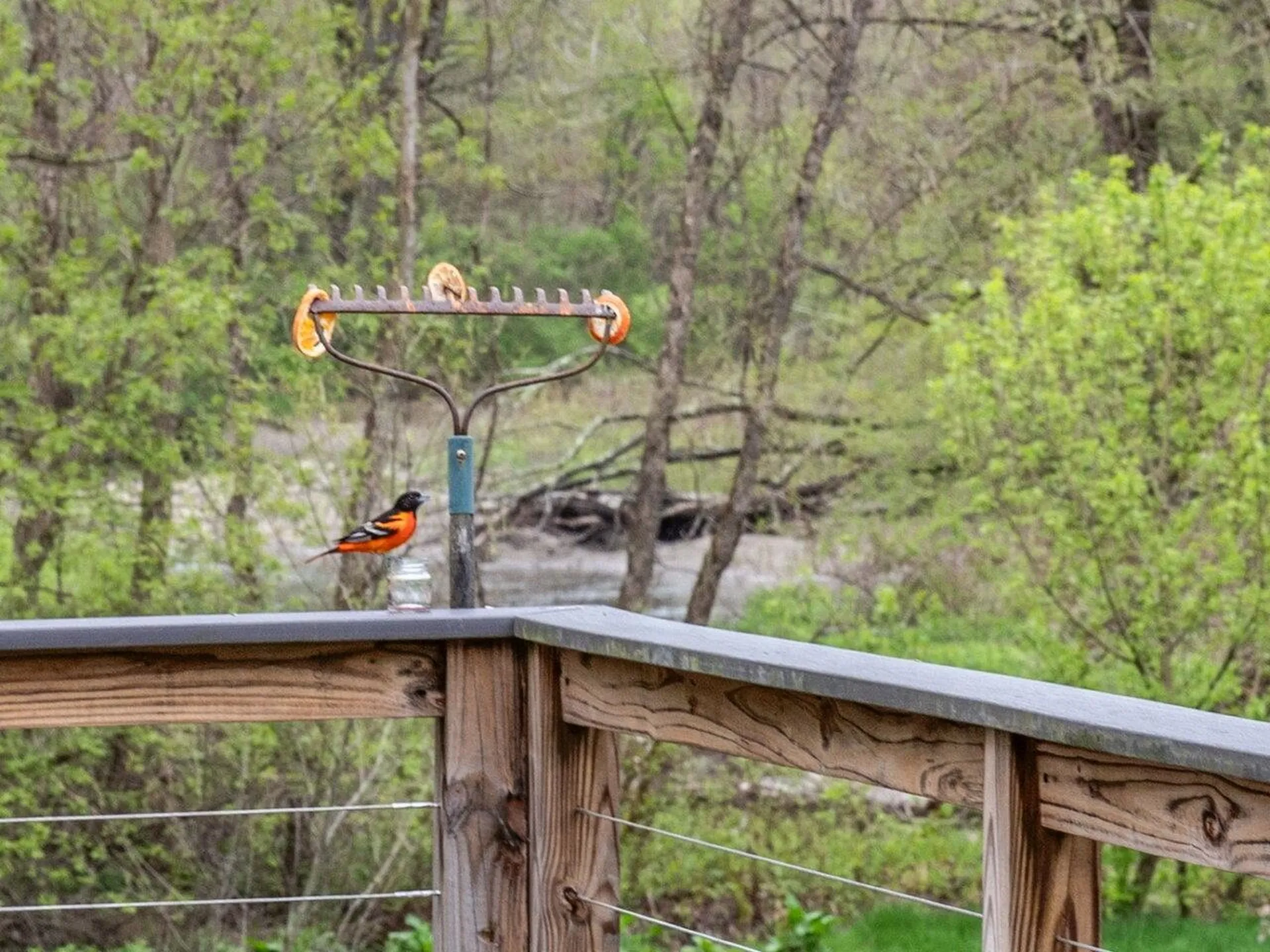 554 Lewis Creek Road Hinesburg VT 05461