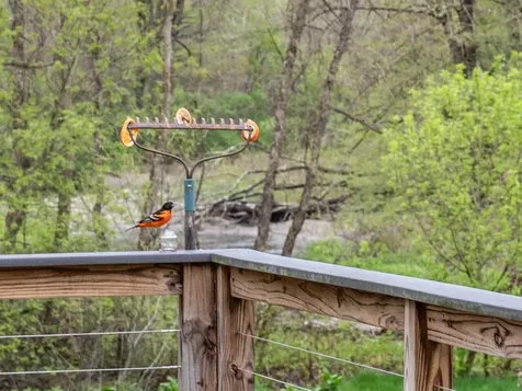 554 Lewis Creek Road Hinesburg VT 05461