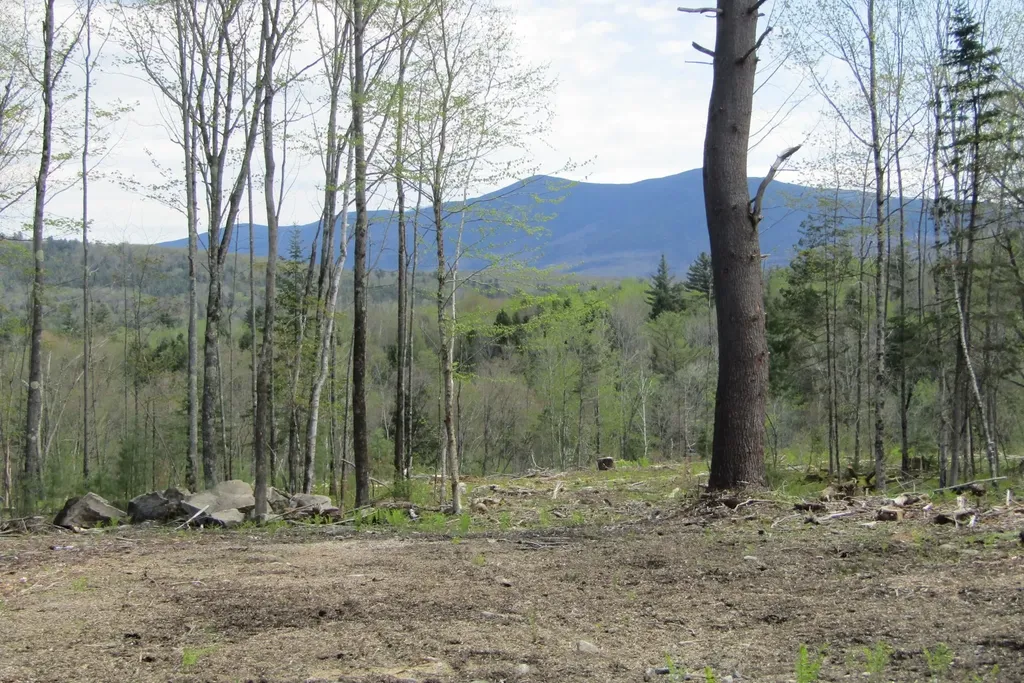 351 Coventry Road Benton NH 03785