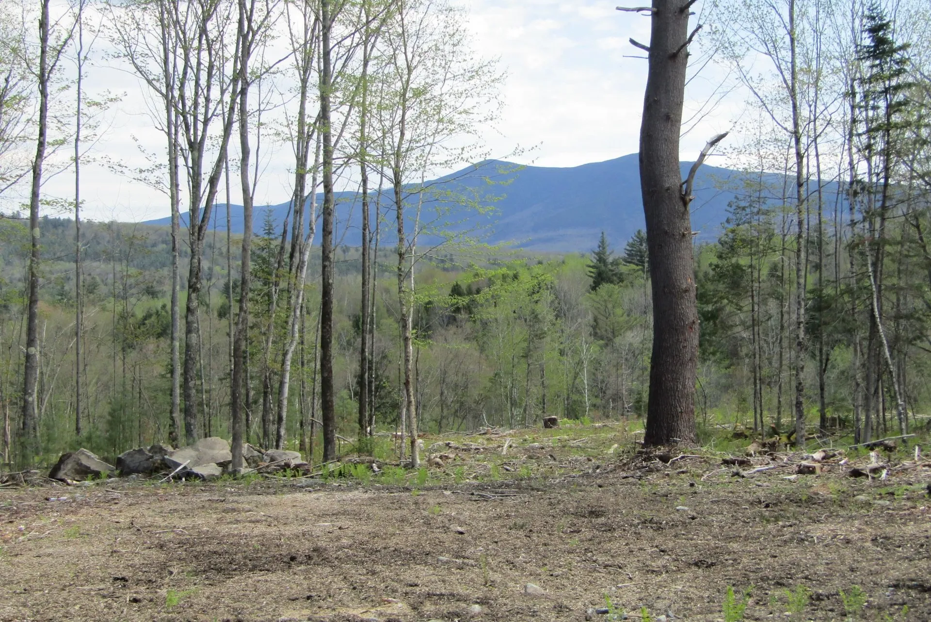 351 Coventry Road Benton NH 03785