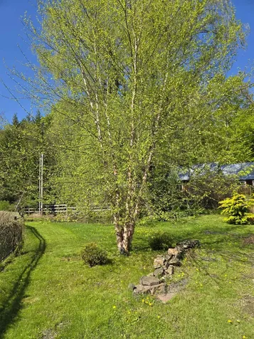 13 Kimball Hill Putney VT 05346