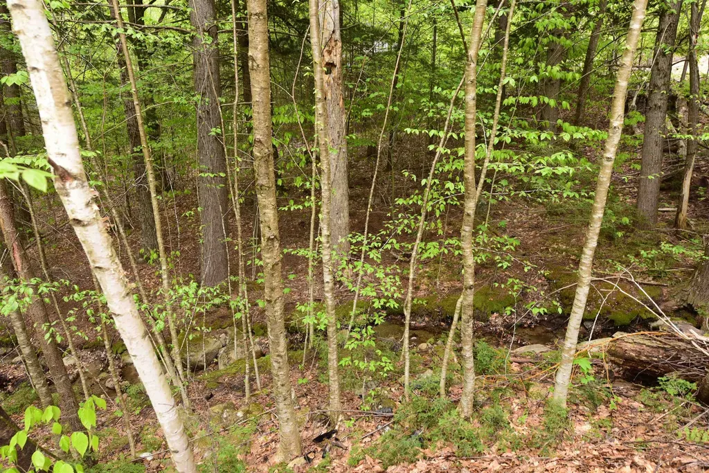 108 Brenner Drive Conway NH 03818