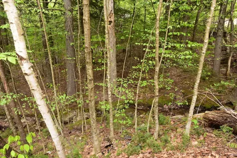 108 Brenner Drive Conway NH 03818