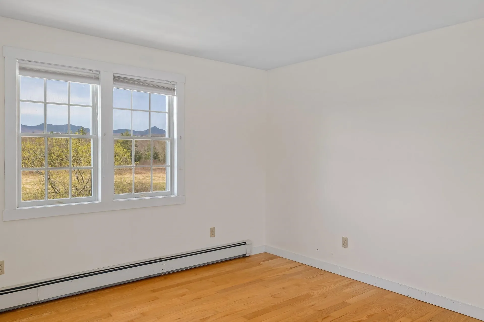 147 Gray Farm Road Morristown VT 05661