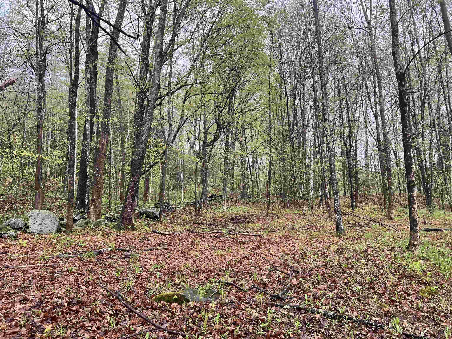 1084 Rush Meadow Road West Windsor VT 05089