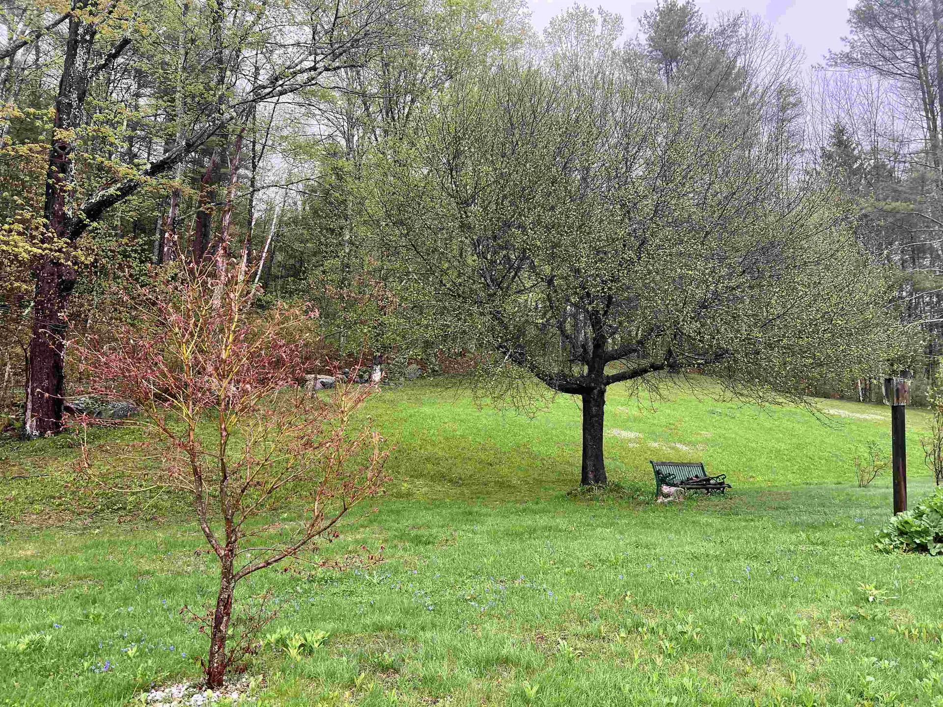 1084 Rush Meadow Road West Windsor VT 05089