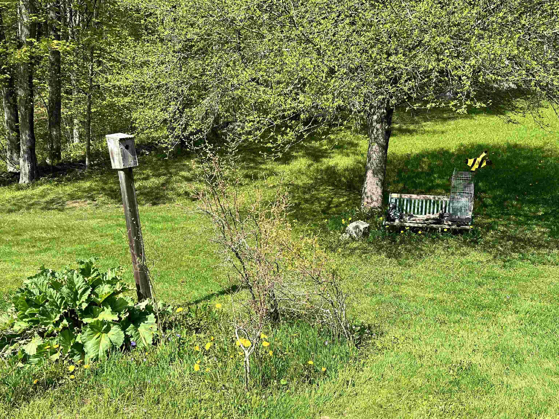 1084 Rush Meadow Road West Windsor VT 05089