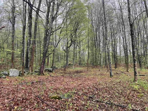 1084 Rush Meadow Road West Windsor VT 05089