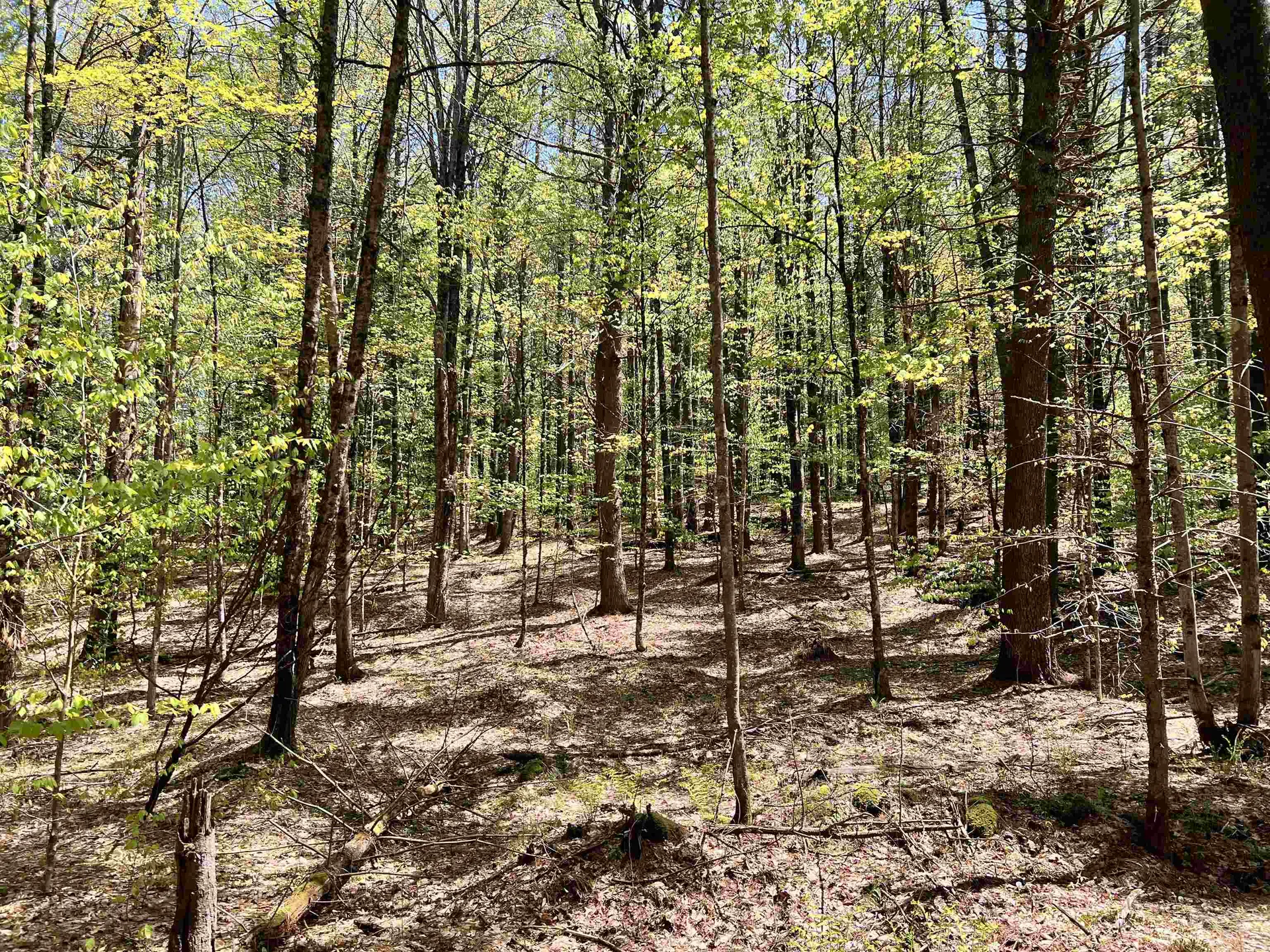 1118 Wildlife Road Hartford VT 05001