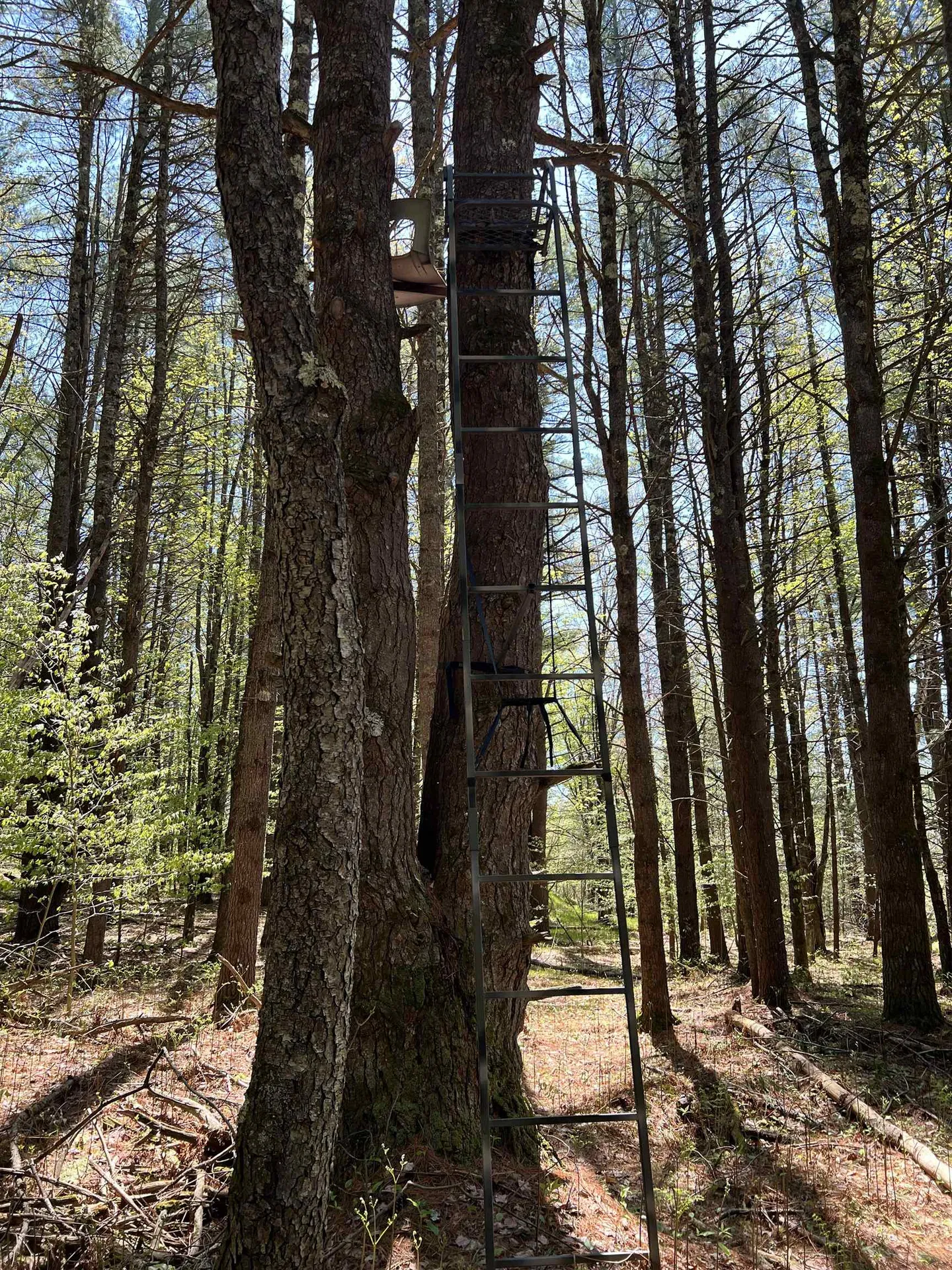 1118 Wildlife Road Hartford VT 05001