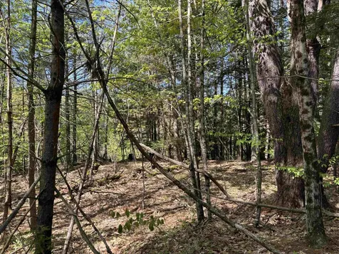 00 E Putney Fallls Road Putney VT 05346