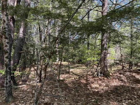 00 E Putney Fallls Road Putney VT 05346