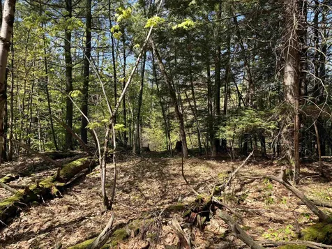 00 E Putney Fallls Road Putney VT 05346