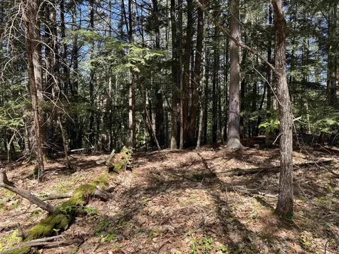 00 E Putney Fallls Road Putney VT 05346