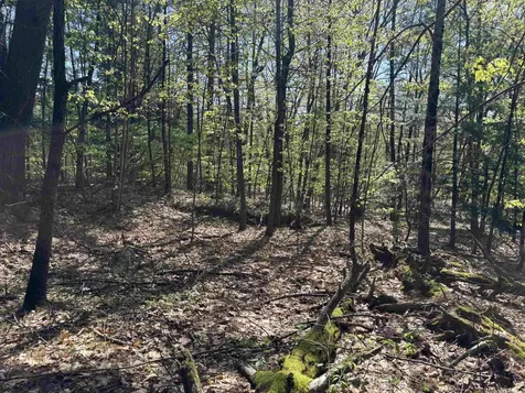 00 E Putney Fallls Road Putney VT 05346