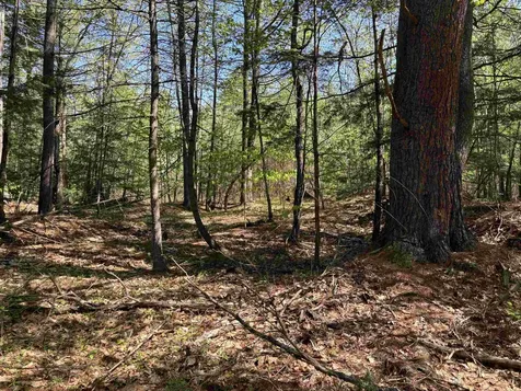 00 E Putney Fallls Road Putney VT 05346