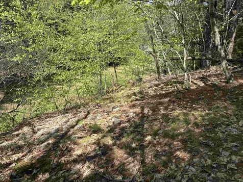 00 E Putney Fallls Road Putney VT 05346