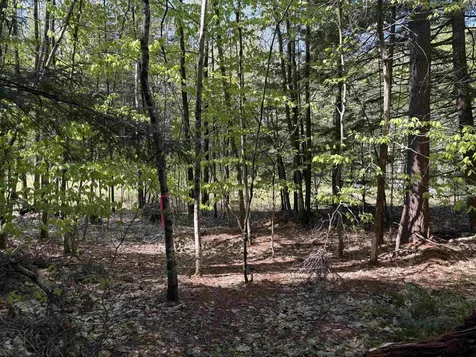 00 E Putney Fallls Road Putney VT 05346