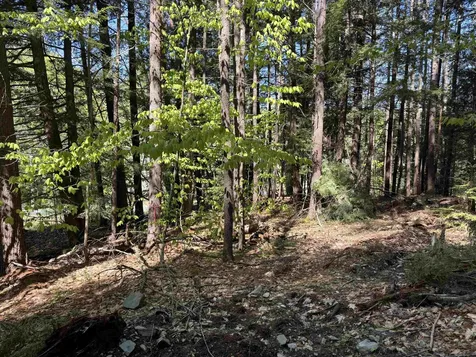 00 E Putney Fallls Road Putney VT 05346
