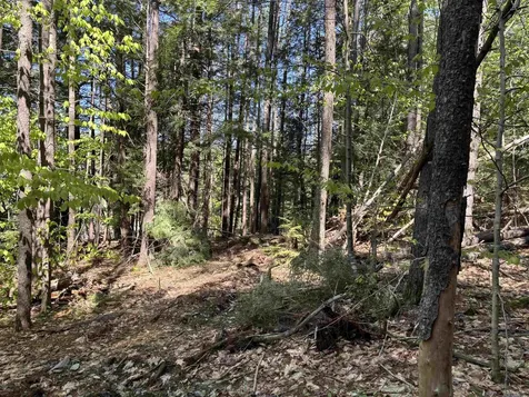 00 E Putney Fallls Road Putney VT 05346