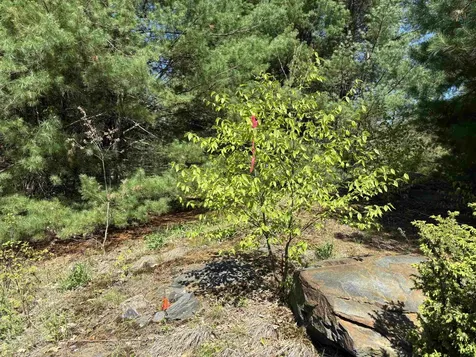 00 E Putney Fallls Road Putney VT 05346