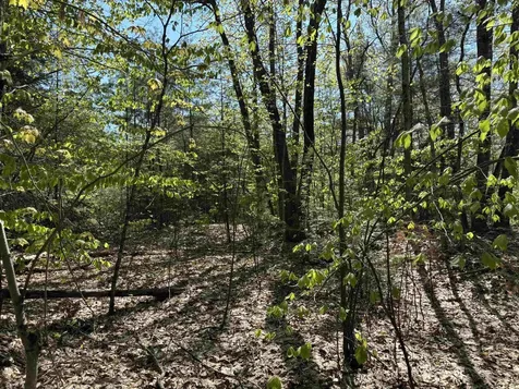 00 E Putney Fallls Road Putney VT 05346