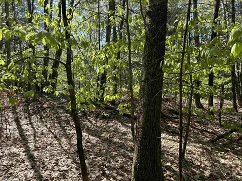 00 E Putney Fallls Road Putney VT 05346
