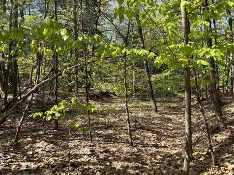 00 E Putney Fallls Road Putney VT 05346