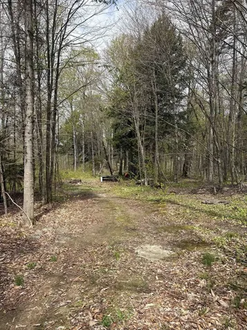 825 Brookview Lane Wolcott VT 05680
