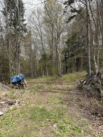 825 Brookview Lane Wolcott VT 05680