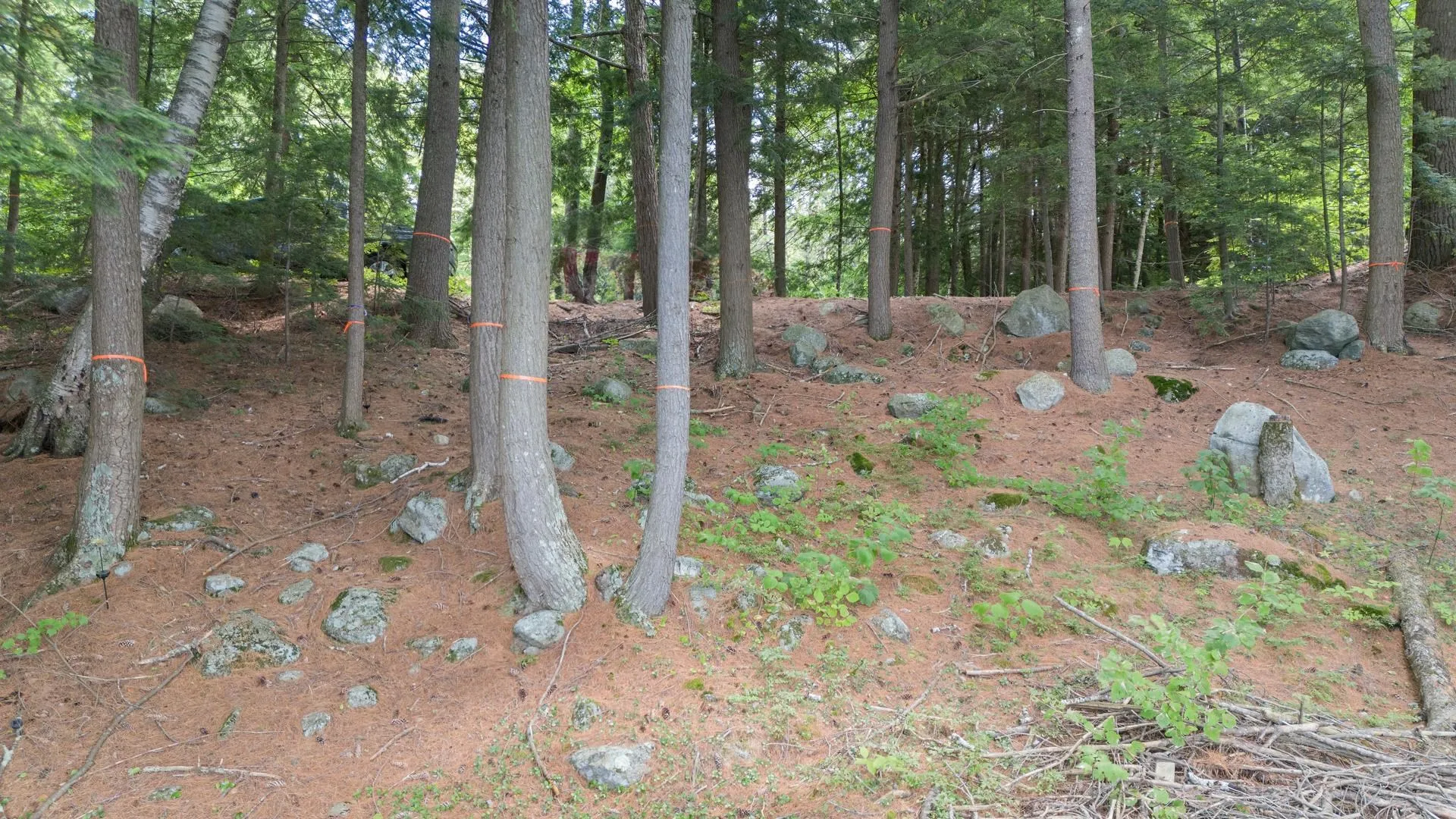 0 North Shore Road Sunapee NH 03782