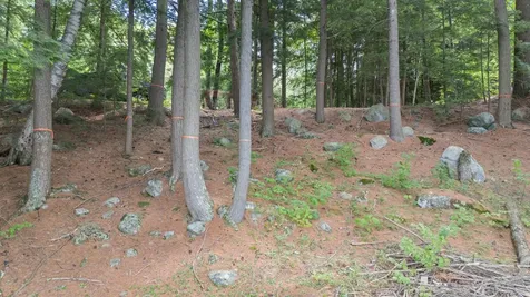 0 North Shore Road Sunapee NH 03782