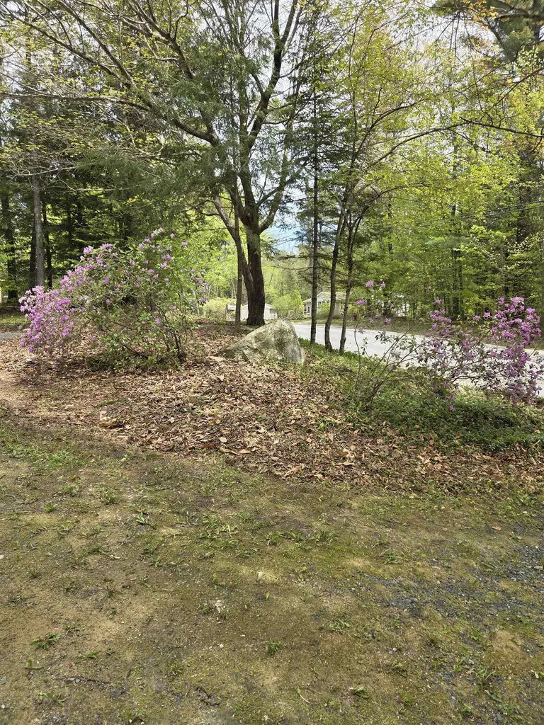 538 County Road New London NH 03257