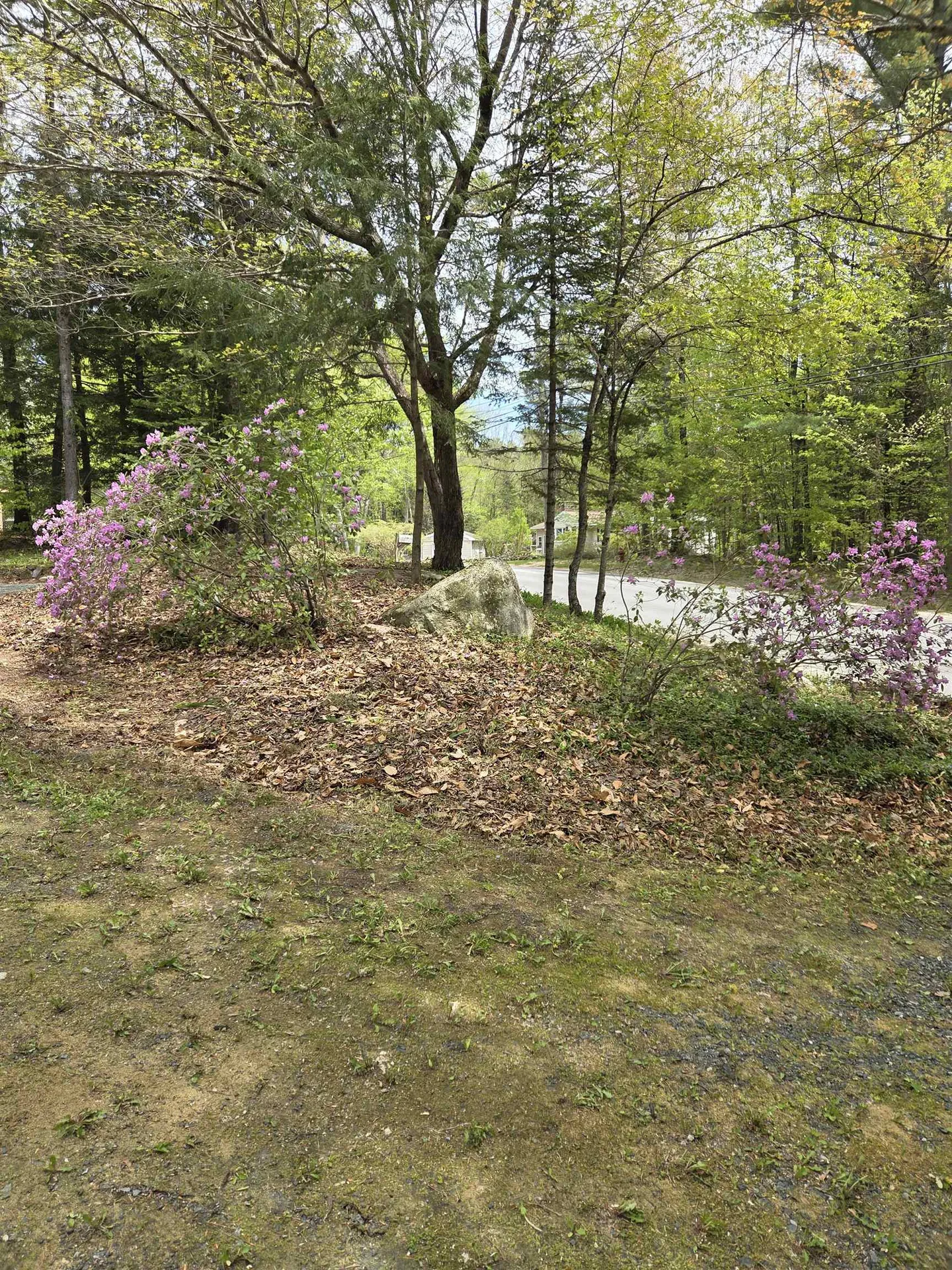 538 County Road New London NH 03257