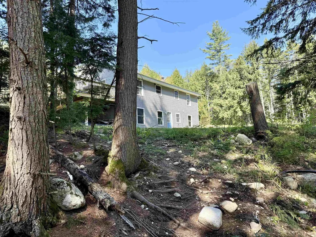 387 Weston Andover Road Andover VT 05143