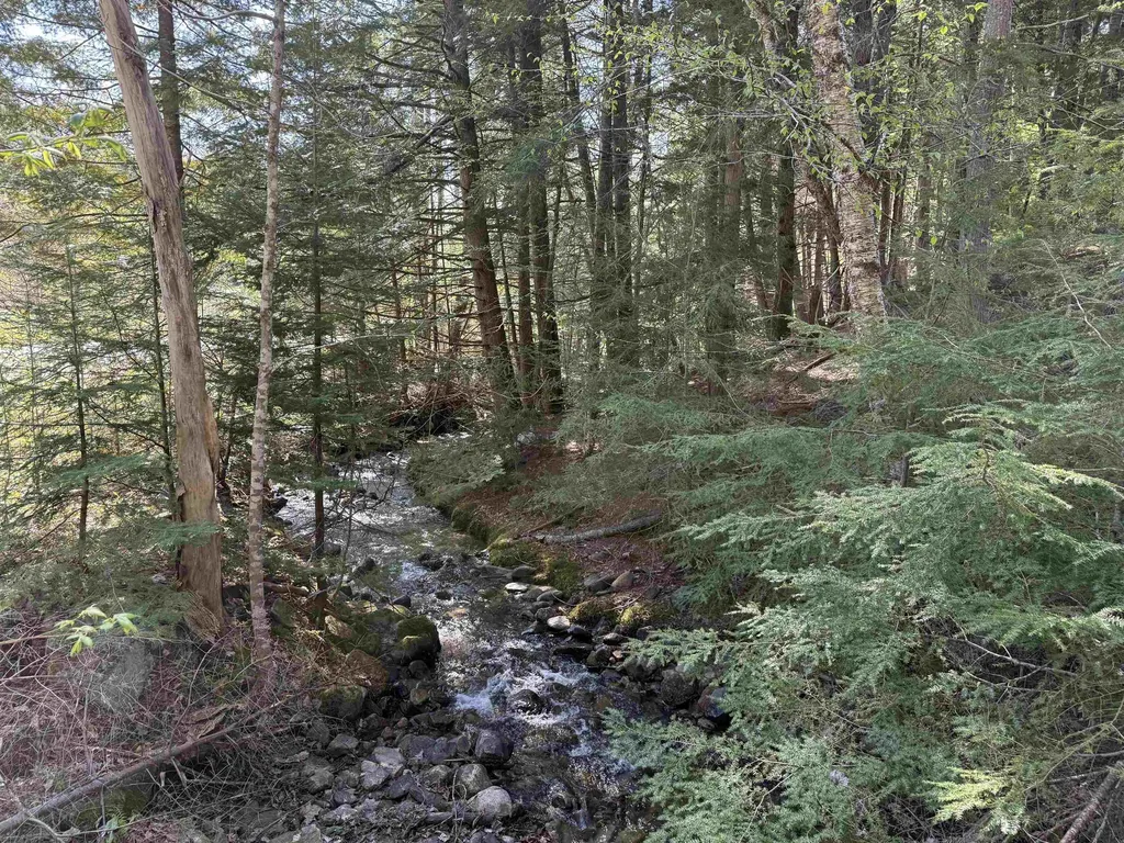 387 Weston Andover Road Andover VT 05143