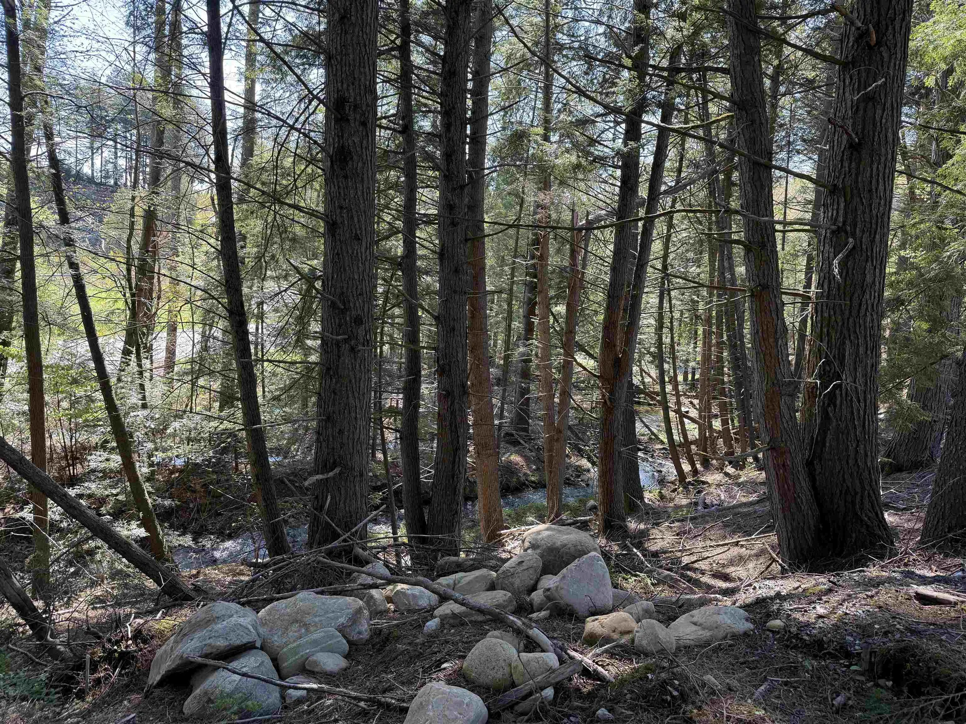 387 Weston Andover Road Andover VT 05143